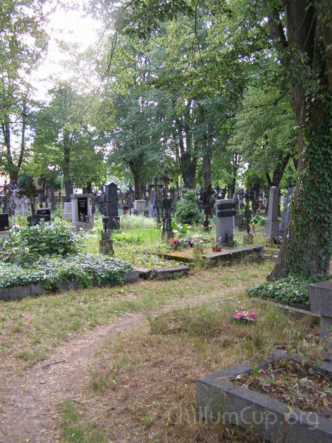 02-Bechyně,hřbitov