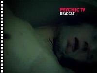 Psychic TV - Deadcat (album Kondole)