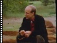 Brian Eno Imaginary Landscapes