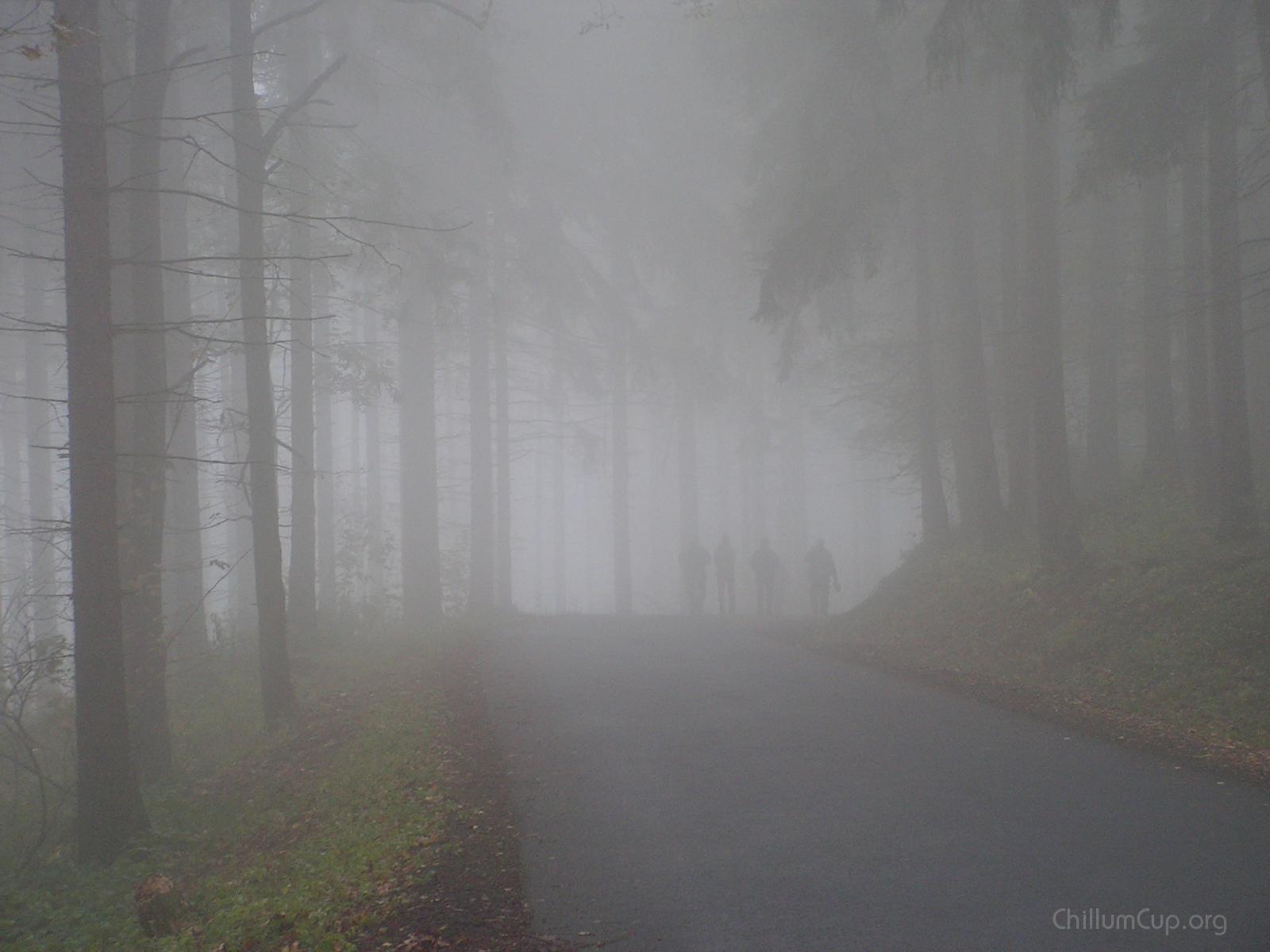 sörge wald III.