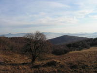 Mittelgebirge z Erzgebirge (Wolf berg)