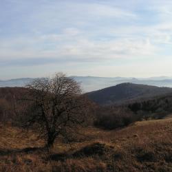 Mittelgebirge z Erzgebirge (Wolf berg)