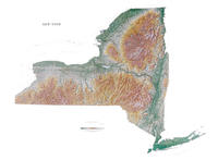 new-york-wall-map-lg