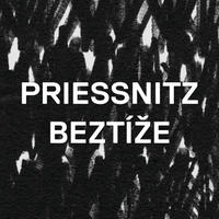 03 PRIESSNITZ - Tam na poli