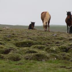 snimekiceland1etape 649